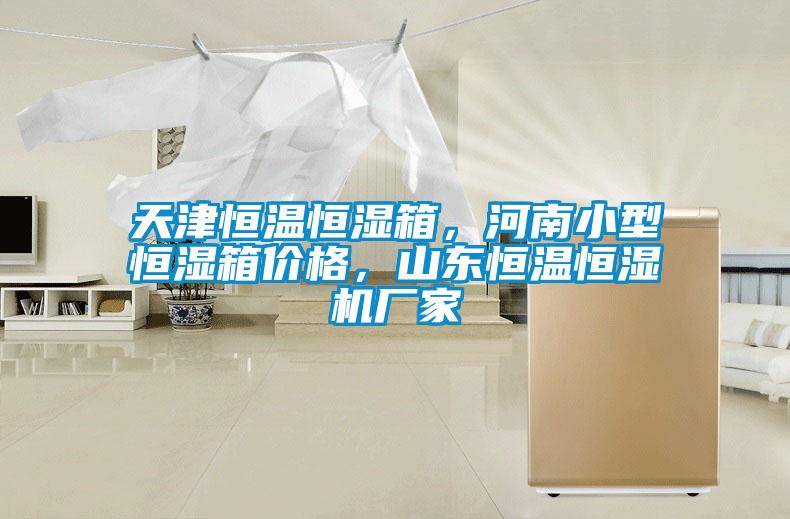 天津恒溫恒濕箱，河南小型恒濕箱價格，山東恒溫恒濕機廠家