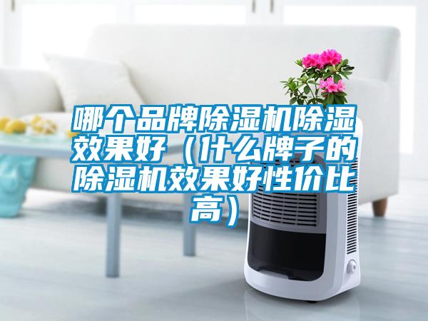 哪個品牌除濕機除濕效果好（什么牌子的除濕機效果好性價比高）