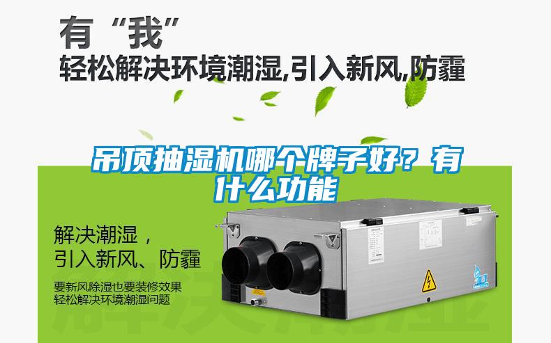 吊頂抽濕機哪個牌子好？有什么功能