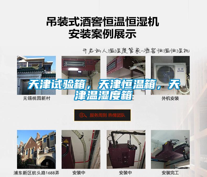 天津試驗箱，天津恒溫箱，天津溫濕度箱