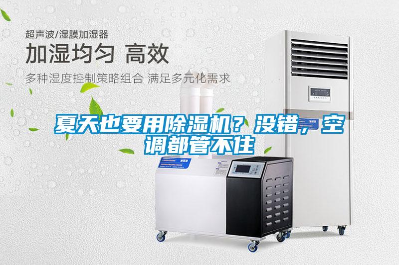 夏天也要用除濕機？沒錯，空調都管不住