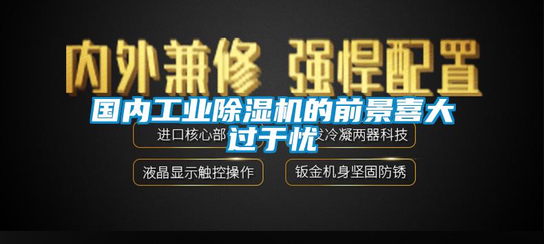 國內工業除濕機的前景喜大過于憂