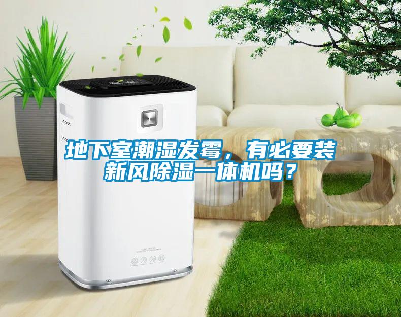 地下室潮濕發霉，有必要裝新風除濕一體機嗎？