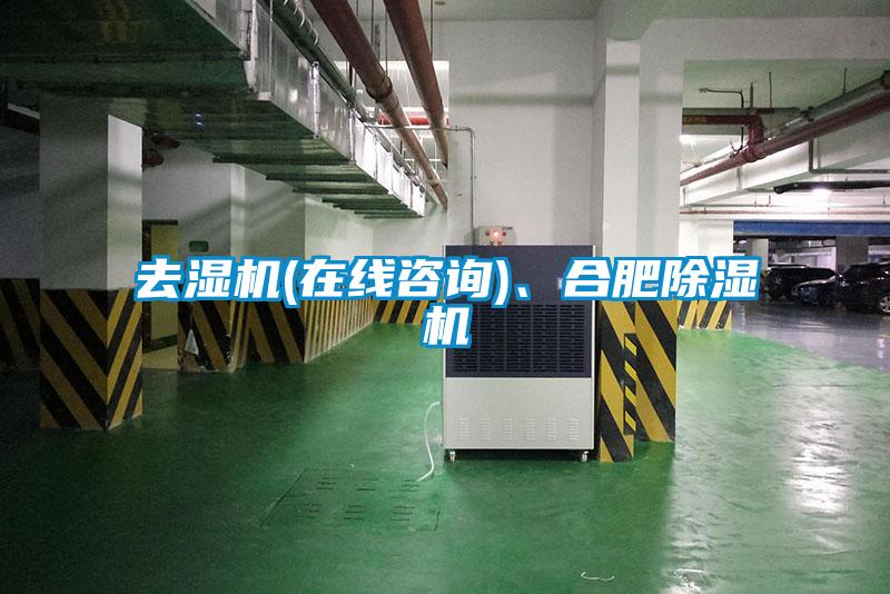 去濕機(在線咨詢)、合肥除濕機