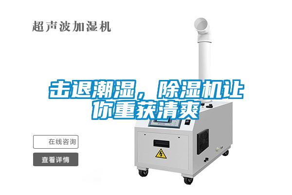 擊退潮濕，除濕機讓你重獲清爽