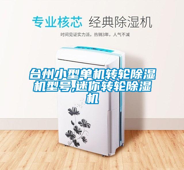 臺州小型單機轉輪除濕機型號,迷你轉輪除濕機