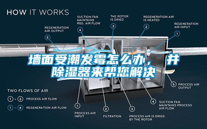 墻面受潮發霉怎么辦，東井除濕器來幫您解決