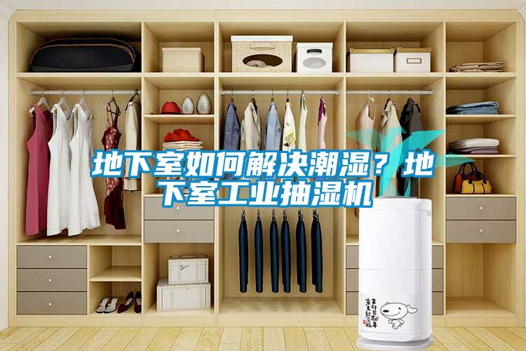 地下室如何解決潮濕？地下室工業抽濕機