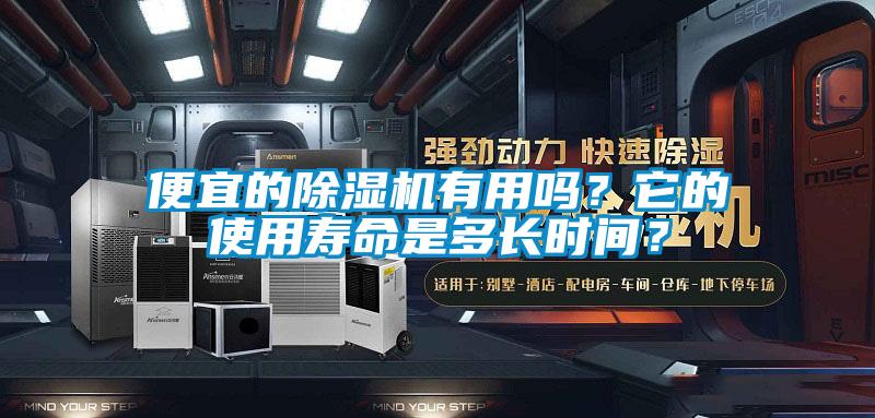 便宜的除濕機有用嗎？它的使用壽命是多長時間？