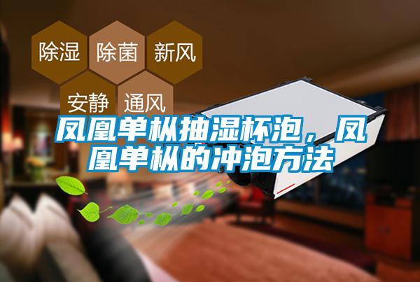 鳳凰單樅抽濕杯泡，鳳凰單樅的沖泡方法