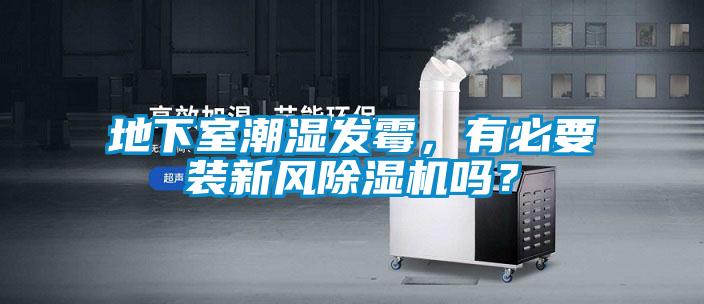 地下室潮濕發霉，有必要裝新風除濕機嗎？