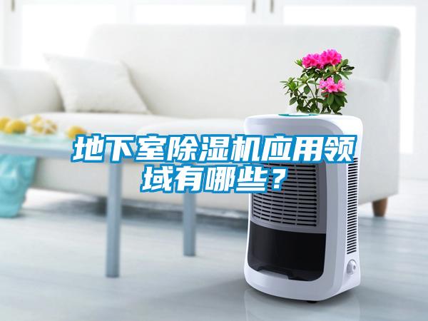 地下室除濕機應用領域有哪些？