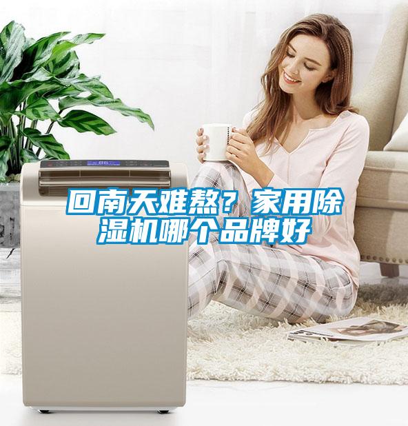 回南天難熬？家用除濕機哪個品牌好
