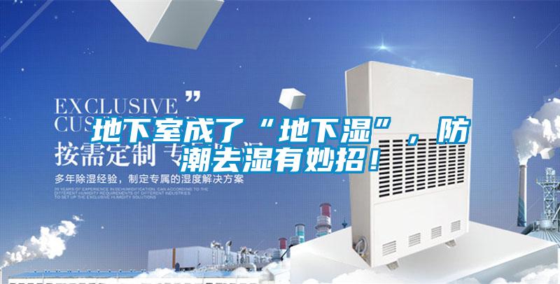 地下室成了“地下濕”，防潮去濕有妙招！