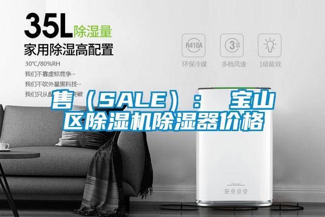 售（SALE）： 寶山區除濕機除濕器價格