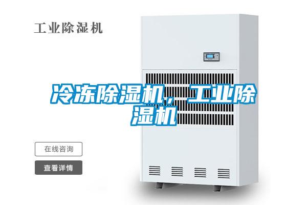 冷凍除濕機，工業除濕機