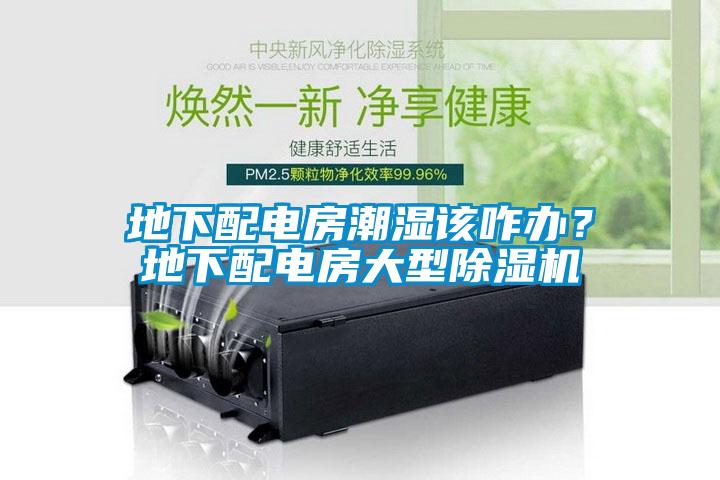 地下配電房潮濕該咋辦？地下配電房大型除濕機