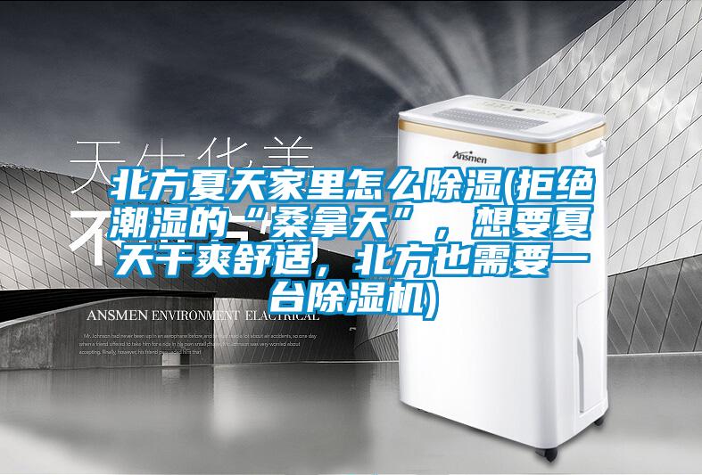 北方夏天家里怎么除濕(拒絕潮濕的“桑拿天”，想要夏天干爽舒適，北方也需要一臺除濕機)