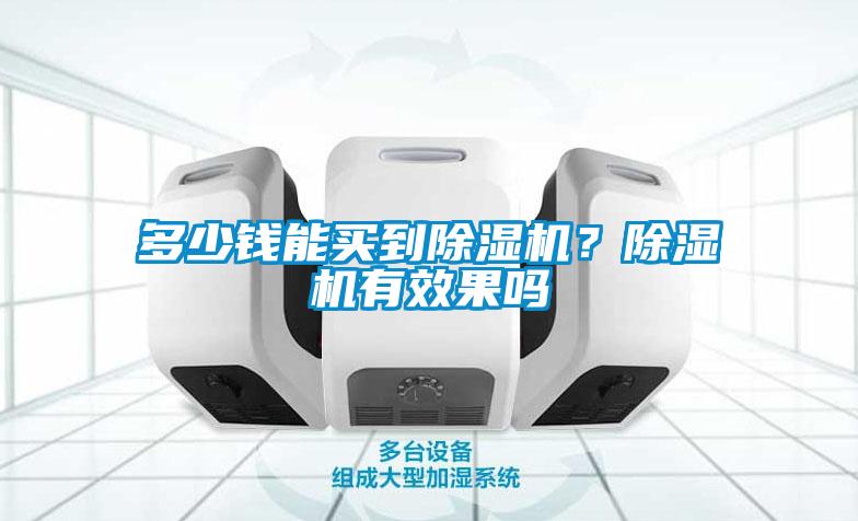 多少錢能買到除濕機？除濕機有效果嗎