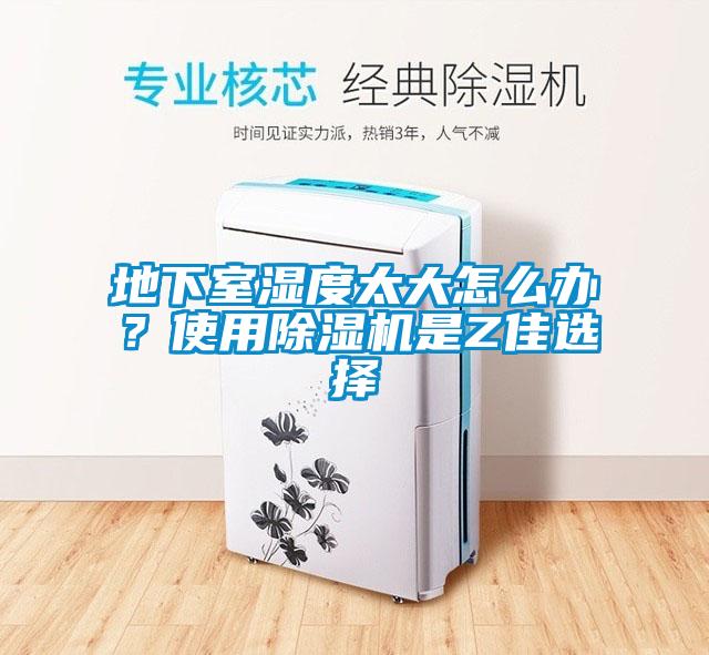 地下室濕度太大怎么辦？使用除濕機是Z佳選擇