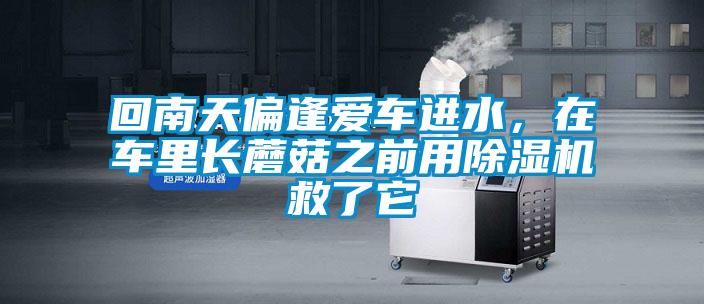 回南天偏逢愛車進水，在車里長蘑菇之前用除濕機救了它