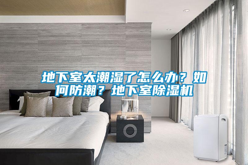地下室太潮濕了怎么辦？如何防潮？地下室除濕機