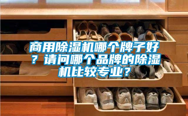 商用除濕機哪個牌子好？請問哪個品牌的除濕機比較專業？