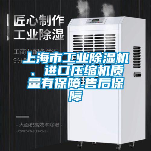 上海市工業除濕機、進口壓縮機質量有保障.售后保障