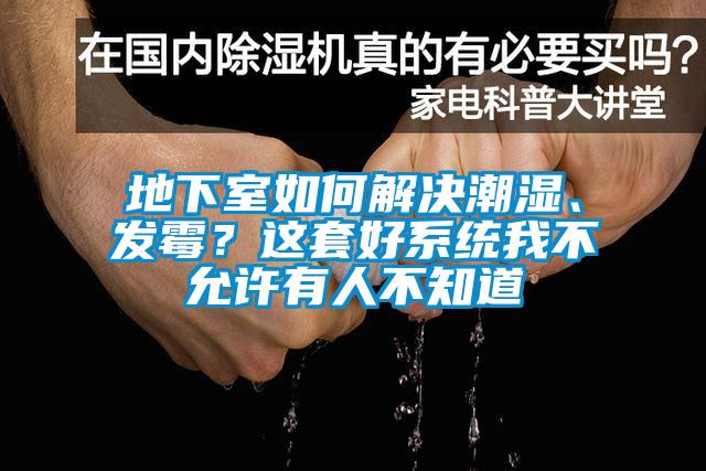 地下室如何解決潮濕、發霉？這套好系統我不允許有人不知道