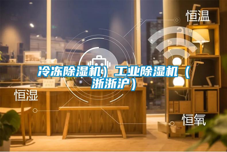 冷凍除濕機）工業除濕機（浙浙滬）