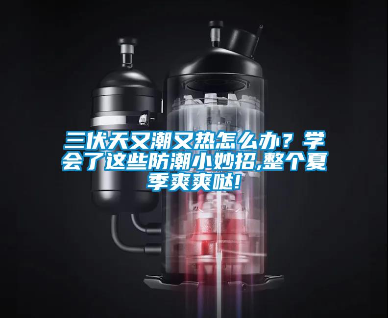 三伏天又潮又熱怎么辦？學會了這些防潮小妙招,整個夏季爽爽噠!