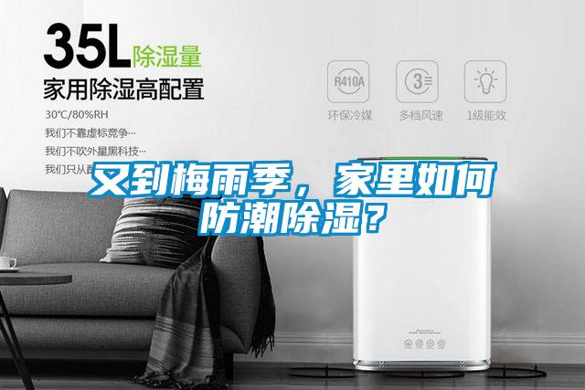 又到梅雨季，家里如何防潮除濕？