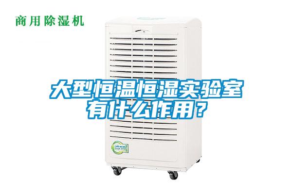大型恒溫恒濕實驗室有什么作用？