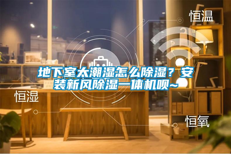 地下室太潮濕怎么除濕？安裝新風除濕一體機唄~