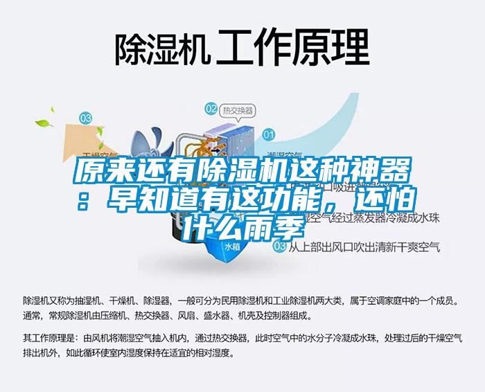 原來還有除濕機這種神器：早知道有這功能，還怕什么雨季