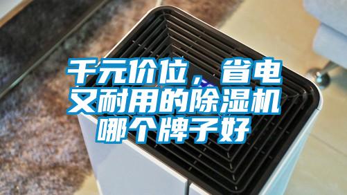 千元價位，省電又耐用的除濕機哪個牌子好