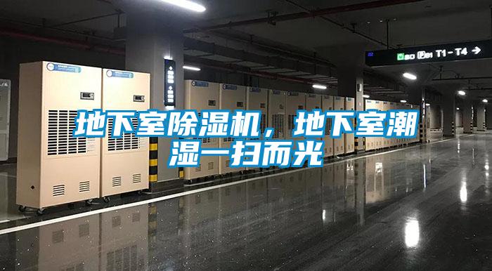 地下室除濕機，地下室潮濕一掃而光