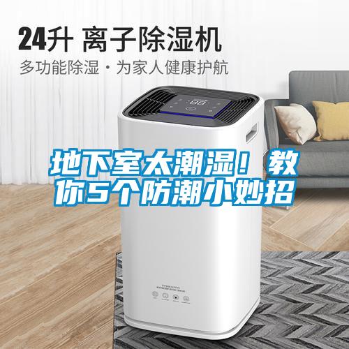 地下室太潮濕！教你5個防潮小妙招