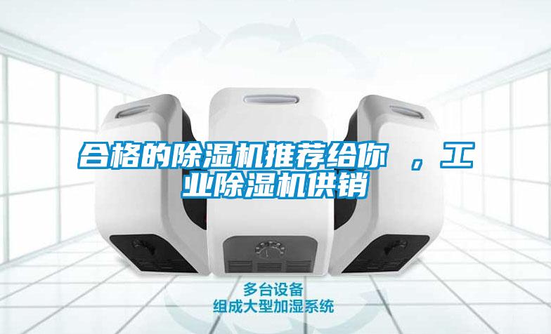 合格的除濕機推薦給你 ，工業除濕機供銷