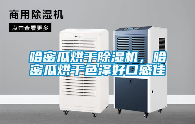 哈密瓜烘干除濕機，哈密瓜烘干色澤好口感佳