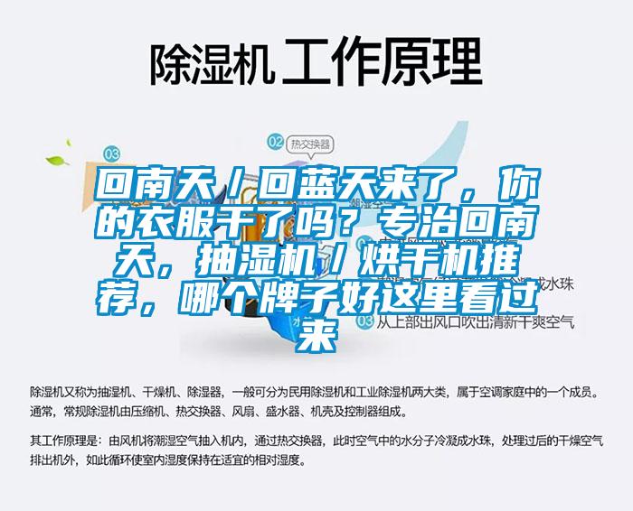 回南天／回藍天來了，你的衣服干了嗎？專治回南天，抽濕機／烘干機推薦，哪個牌子好這里看過來