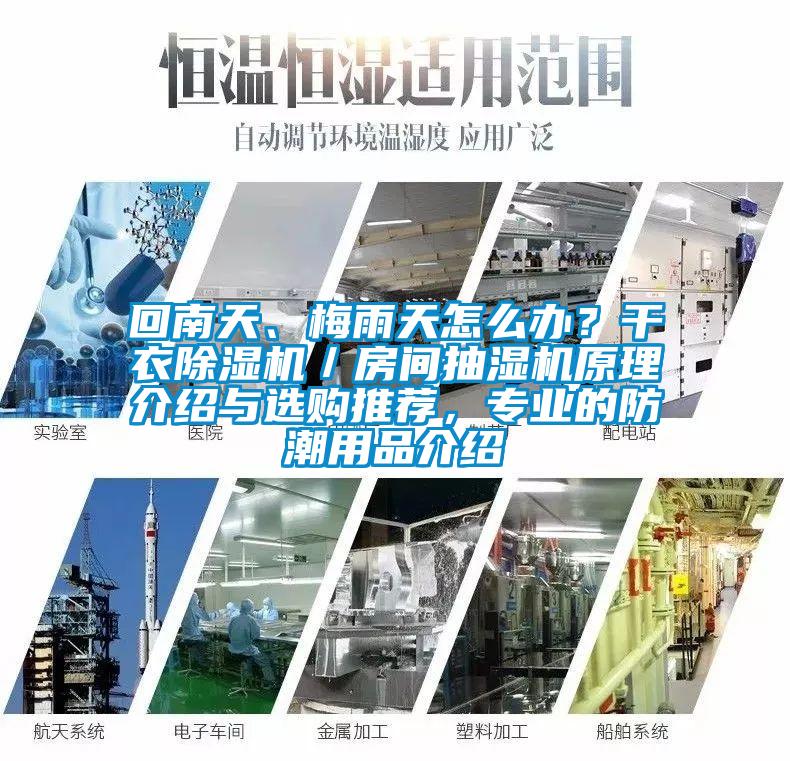 回南天、梅雨天怎么辦？干衣除濕機／房間抽濕機原理介紹與選購推薦，專業的防潮用品介紹