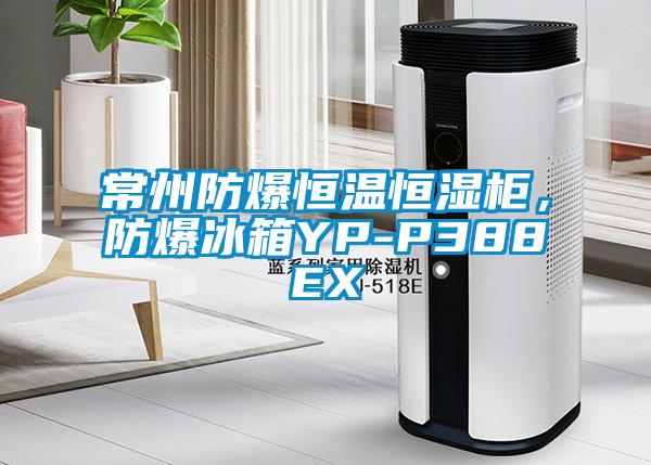 常州防爆恒溫恒濕柜，防爆冰箱YP-P388EX