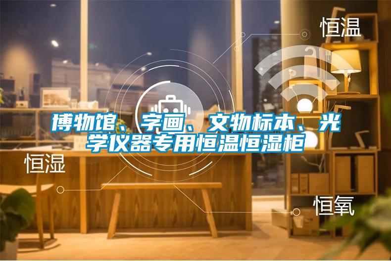 博物館、字畫、文物標本、光學儀器專用恒溫恒濕柜