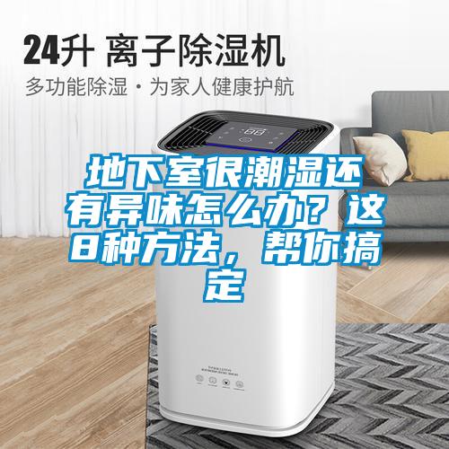 地下室很潮濕還有異味怎么辦？這8種方法，幫你搞定
