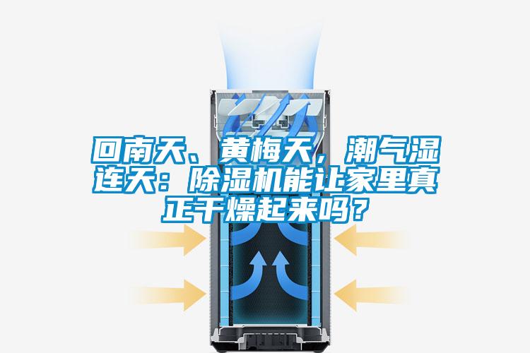 回南天、黃梅天，潮氣濕連天：除濕機能讓家里真正干燥起來嗎？