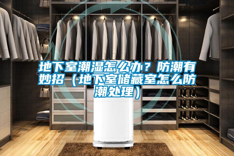 地下室潮濕怎么辦？防潮有妙招（地下室儲藏室怎么防潮處理）