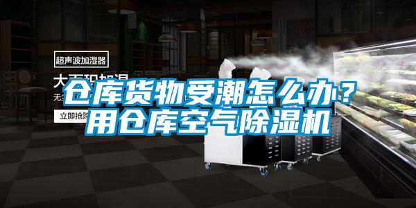 倉庫貨物受潮怎么辦？用倉庫空氣除濕機