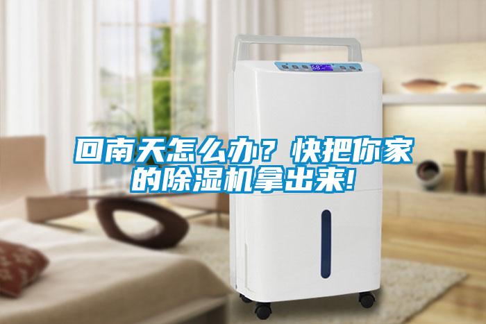 回南天怎么辦？快把你家的除濕機拿出來!