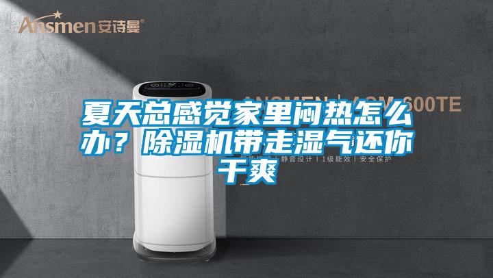 夏天總感覺家里悶熱怎么辦？除濕機帶走濕氣還你干爽